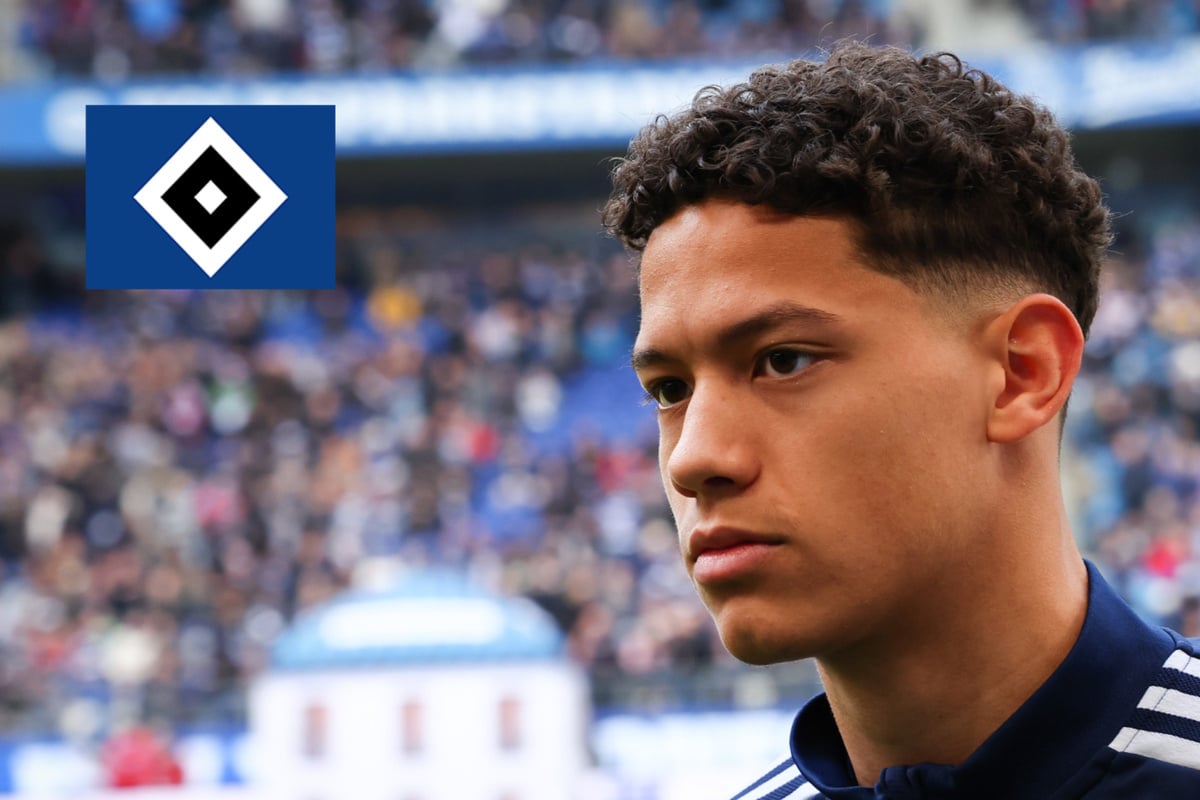 HSV-Blog-R-ckkehrer-Nemeth-findet-wohl-neuen-Verein