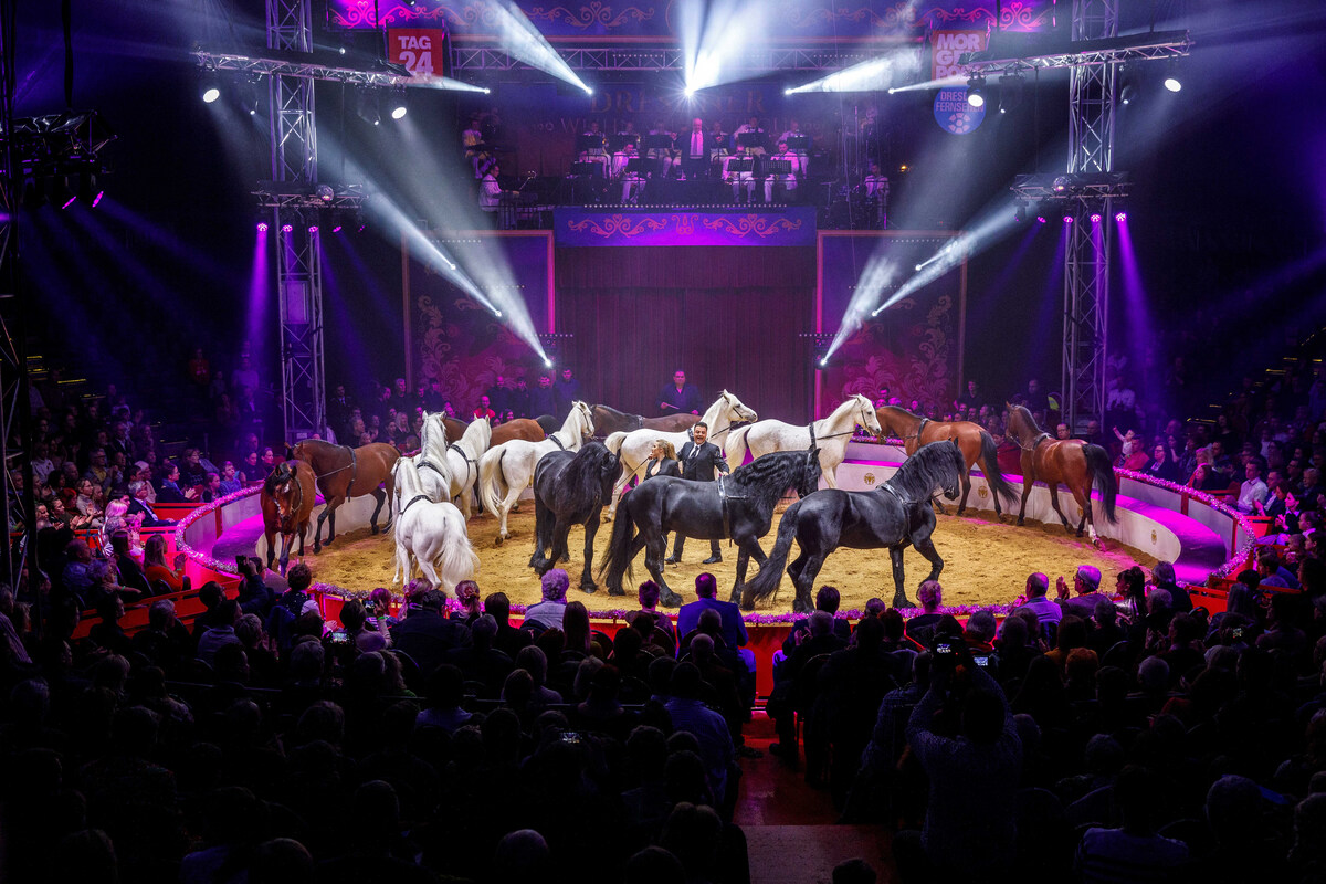Zirkus Weihnachten 2022 Dresden Jetzt sagt auch der WeihnachtsCircus ab TAG24