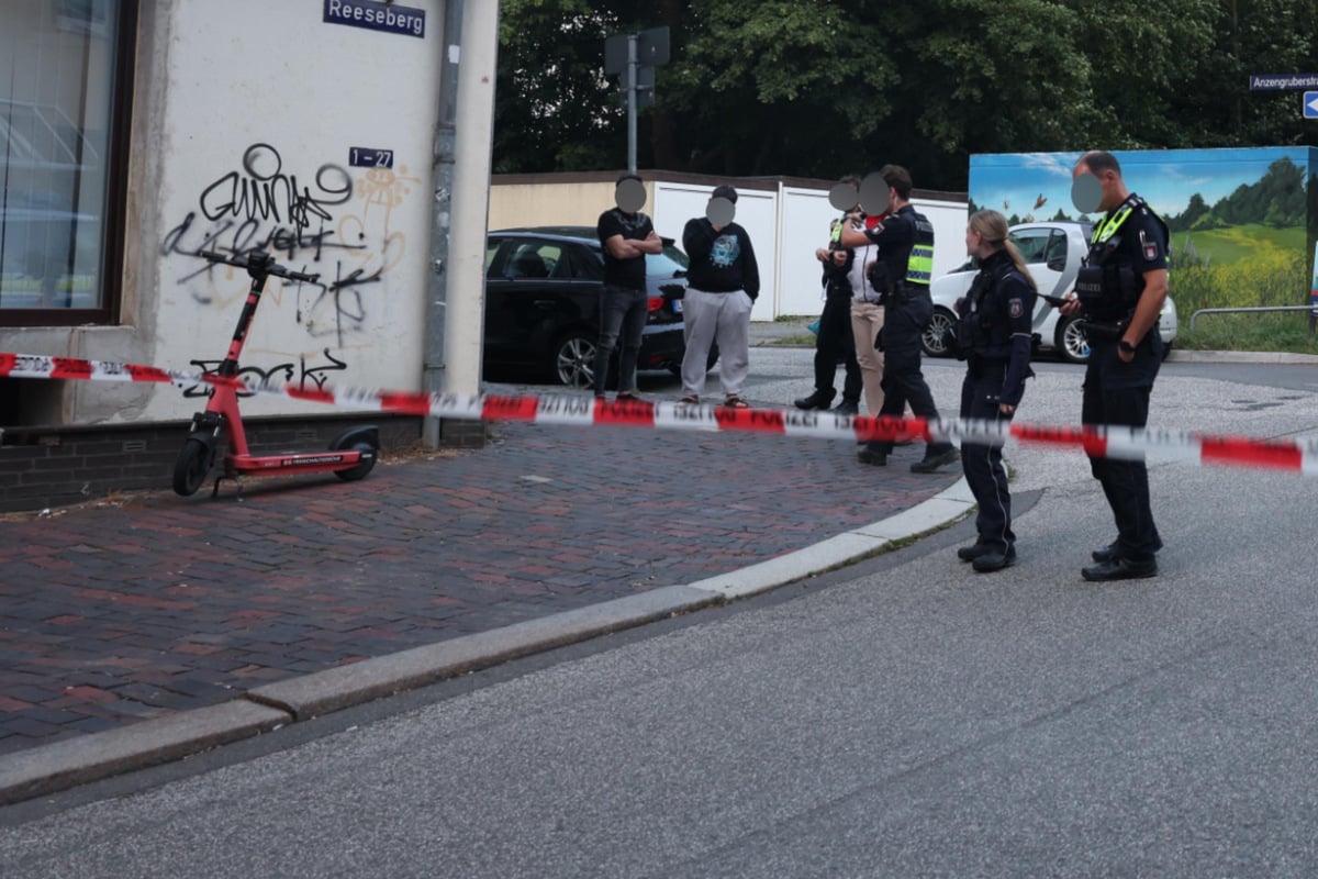 Gleich-mehrere-Festnahmen-Auseinandersetzung-in-Hamburg-eskaliert