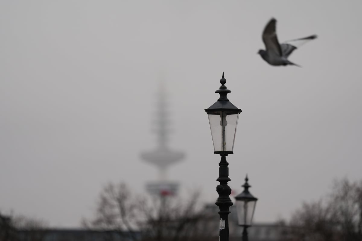 wetterdienst-warnt-vor-frost-nebel-und-gl-tte