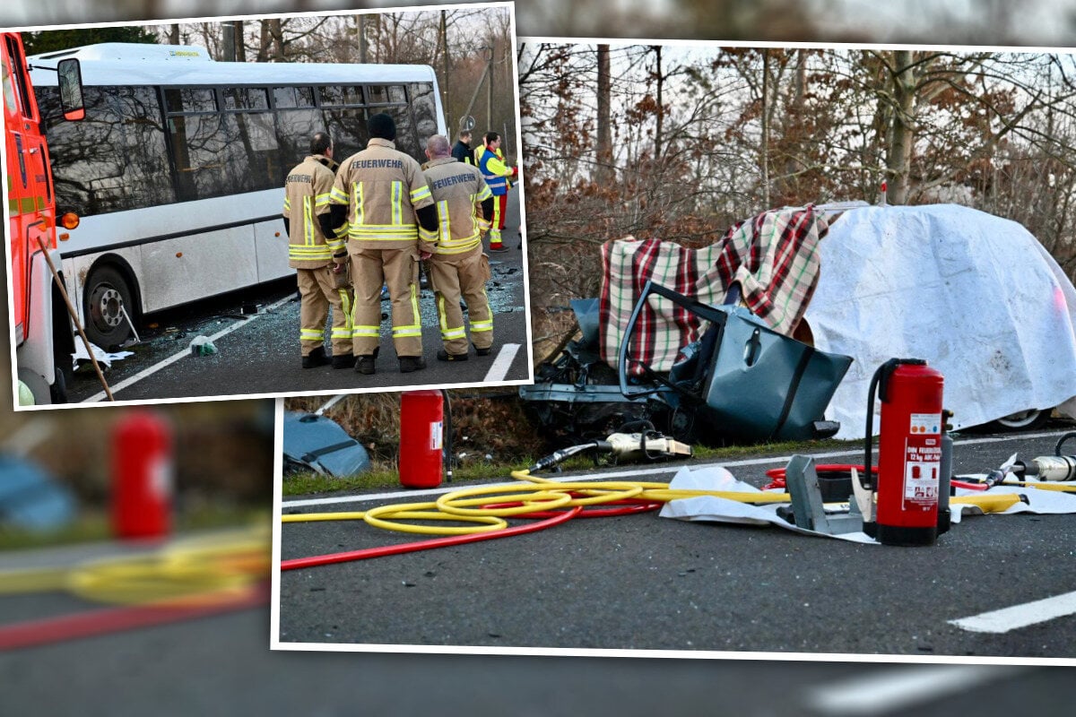 Kind-und-Busfahrer-verletzt-Auto-kracht-auf-der-S11-frontal-in-Linienbus