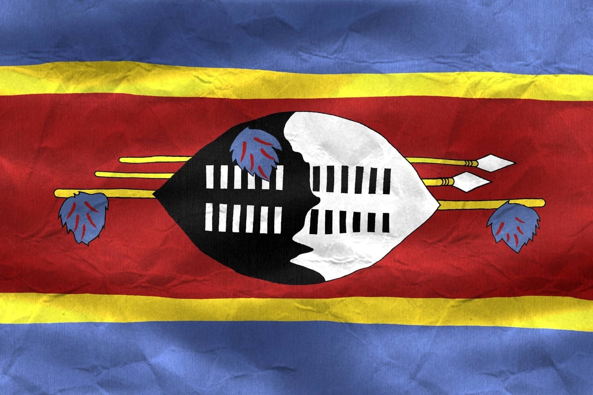 Latest US deportation flights land in Eswatini with 11 people on board