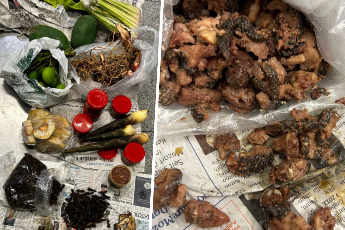 Ekelfund an deutschem Airport: Fleisch von Reptili