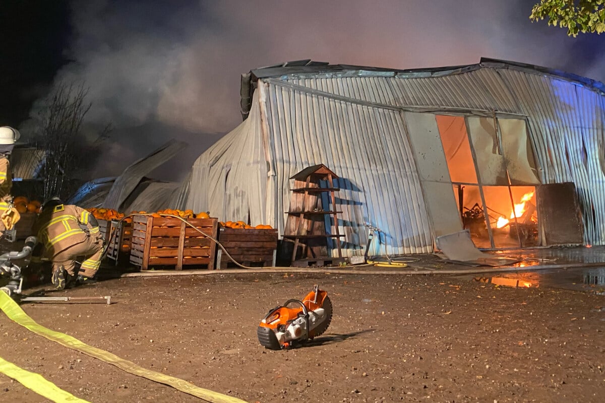 Massive Fire Breaks Out in Frechen and Cologne: Fire Brigade Battling Blaze on City Limits