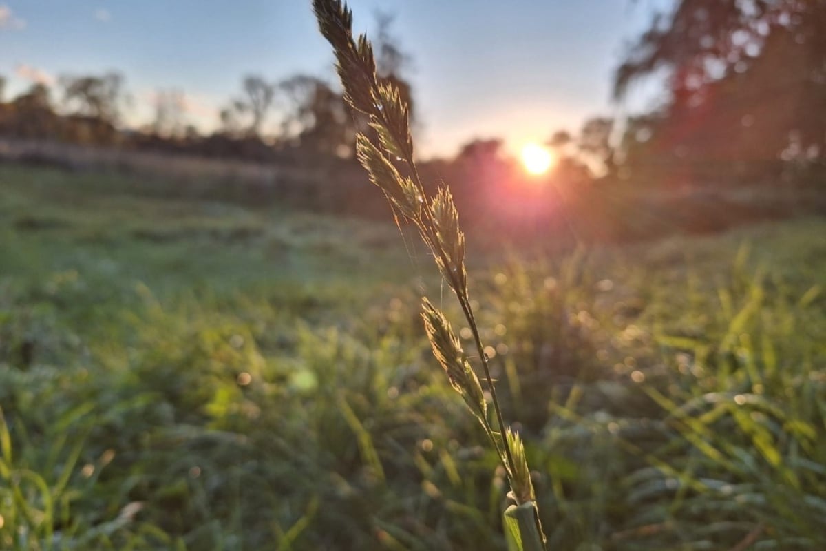 herbst-2024-in-th-ringen-quot-bemerkenswerte-quot-temperatur-gemessen