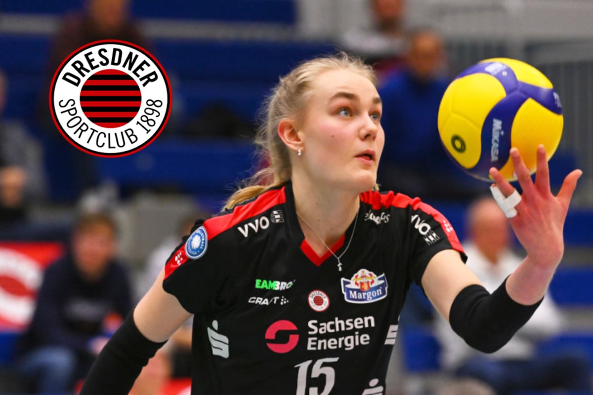 Volleyball DVV Cup: Can Dresden surprise Stuttgart?