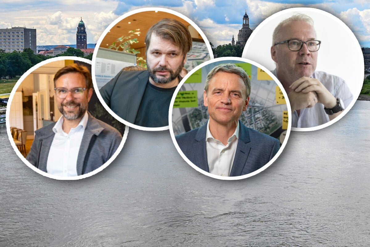 Neue Carolabrücke in Dresden: Planer erklären ihre