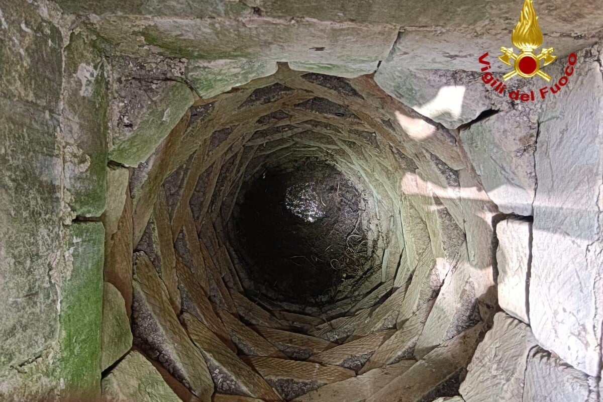 Im Sommercamp: Junge stürzt in 15 Meter tiefen Brunnen - tot