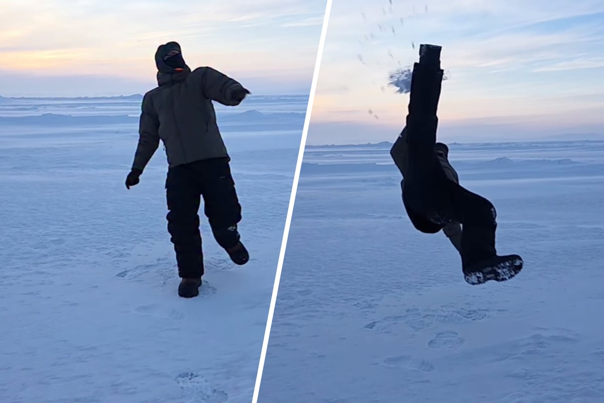 Arktistisch-Welcher-Star-setzt-hier-zum-Fallr-ckzieher-an-