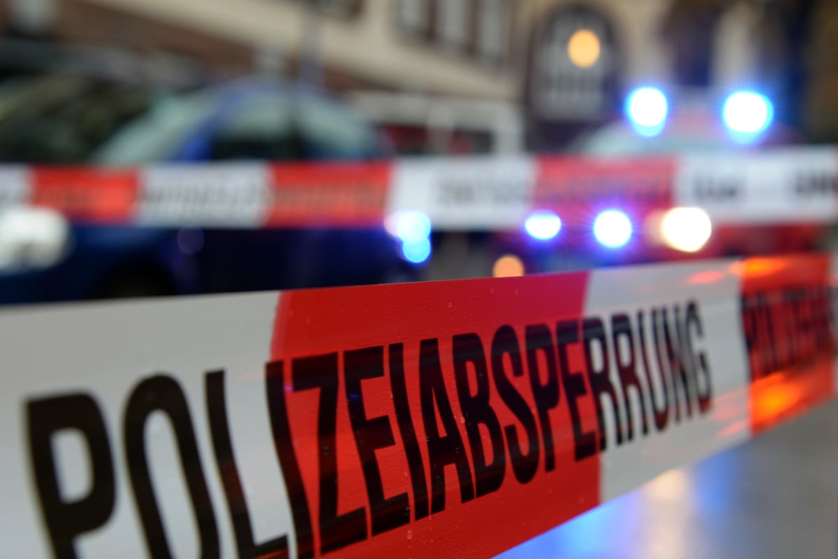 schrecklicher-fund-am-ersten-weihnachtstag-polizei-entdeckt-tote-kinder-und-verletzte-mutter