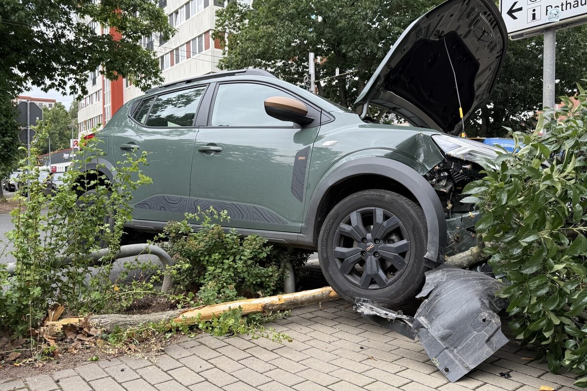 Audi-Fahrer-bersieht-Dacia-23-J-hriger-kracht-gegen-Schutzrohr-und-einen-Baum