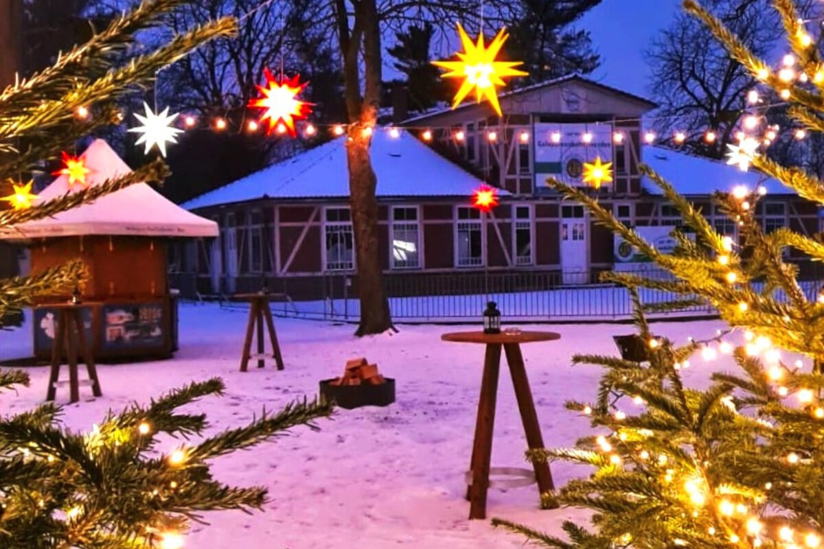 New Year’s Glow at Dresden-Seidnitz Racecourse in January: Pony Rides, Mulled Wine, and More!