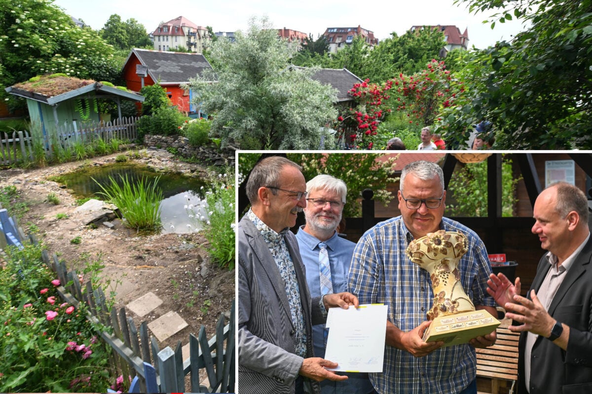 Hier steht Dresdens schönste Gartensparte "Stille Ecke" mit viel Obst
