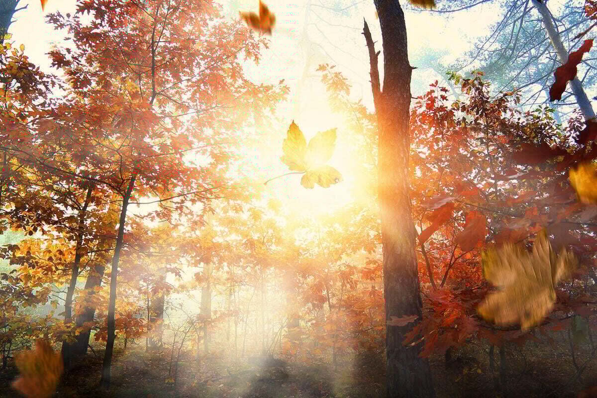 Horoskop-morgen-Tageshoroskop-kostenlos-f-r-den-12-11-2025