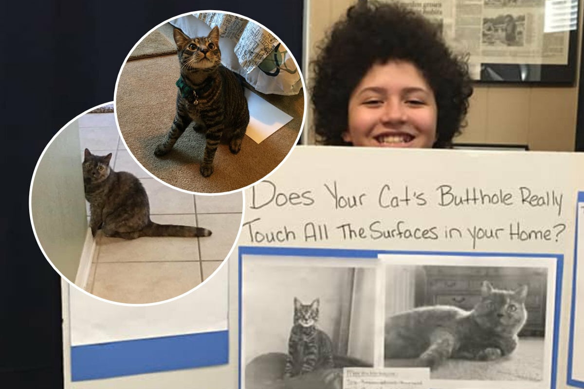 Kid's science project explores whether cats' buttholes touch all