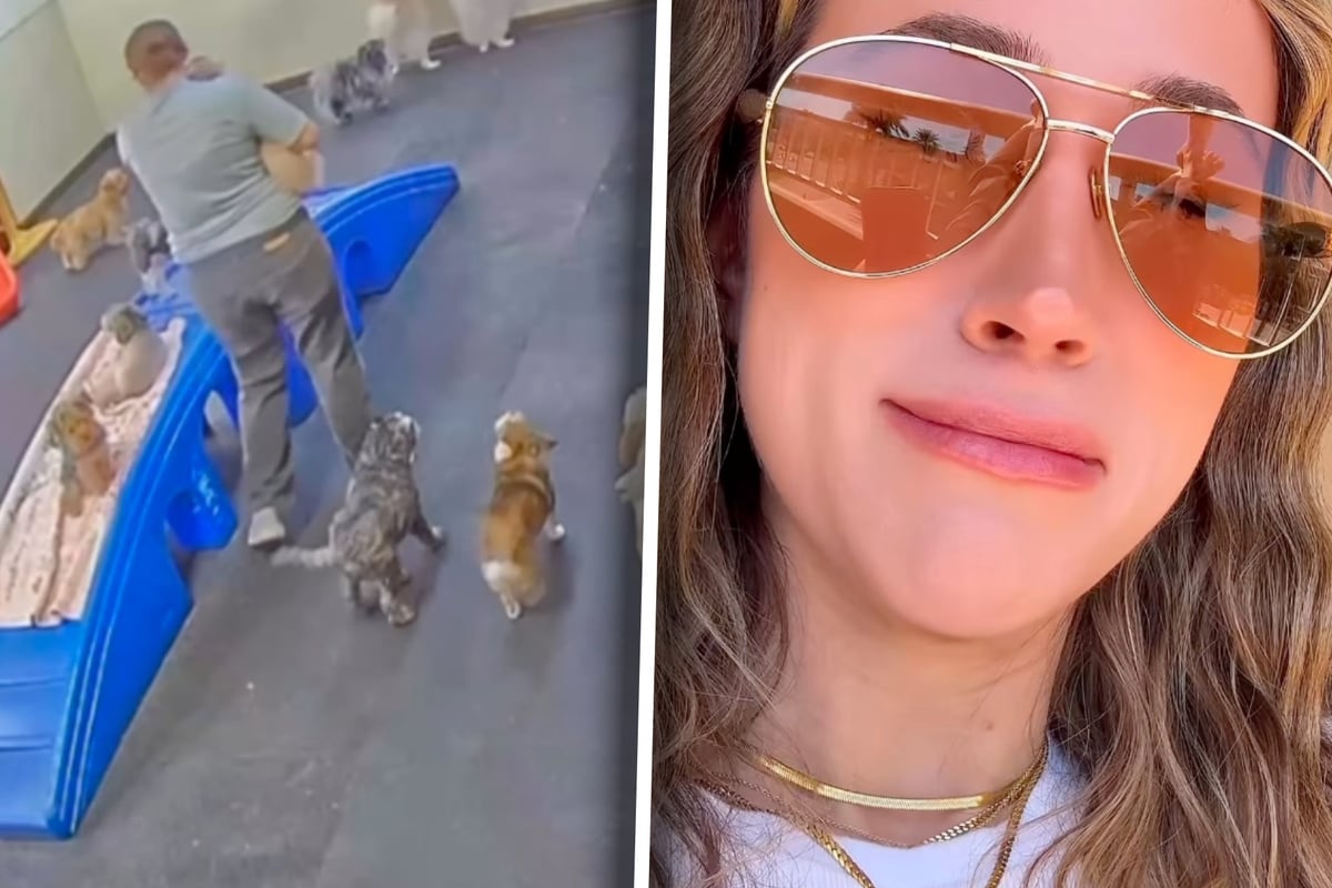 Frauchen wirft Blick auf Hunde-Tagesstätte-Video: Was sie dort sieht, bricht ihr das Herz