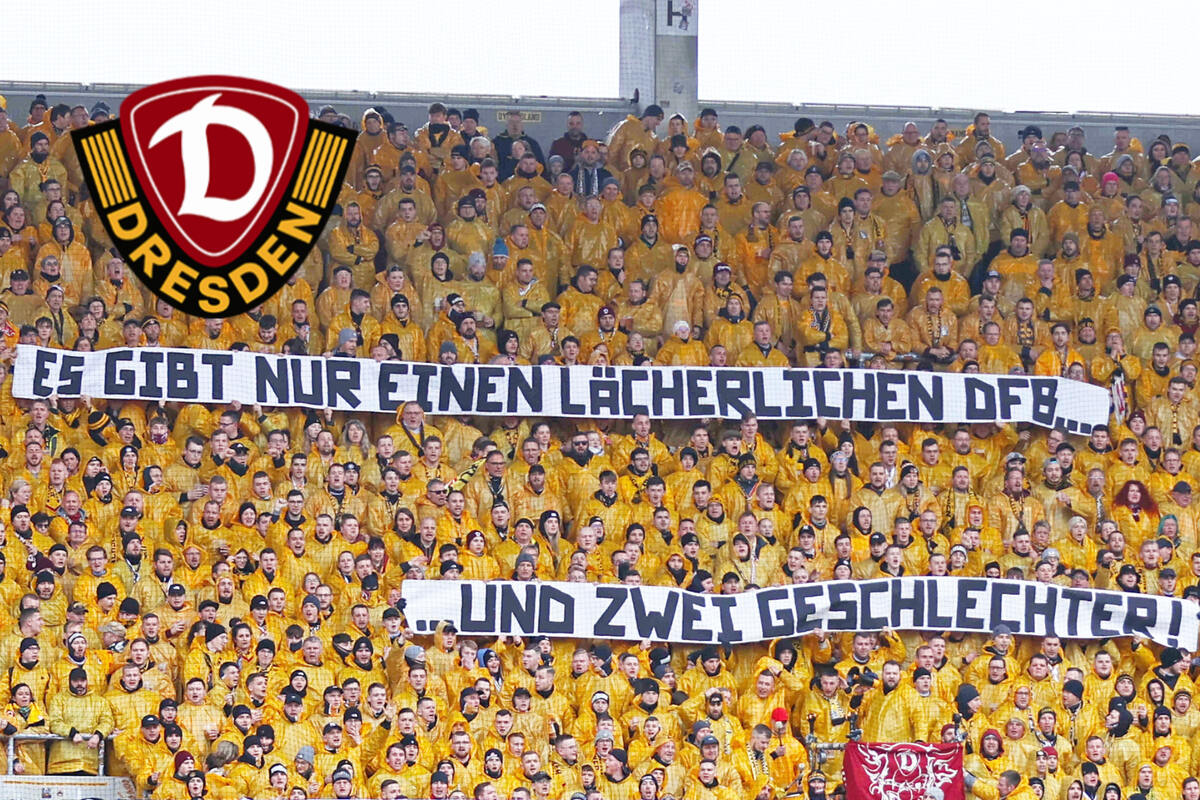 Das dürfte teuer werden: Dynamo-Fans sorgen mit Banner für Wirbel!