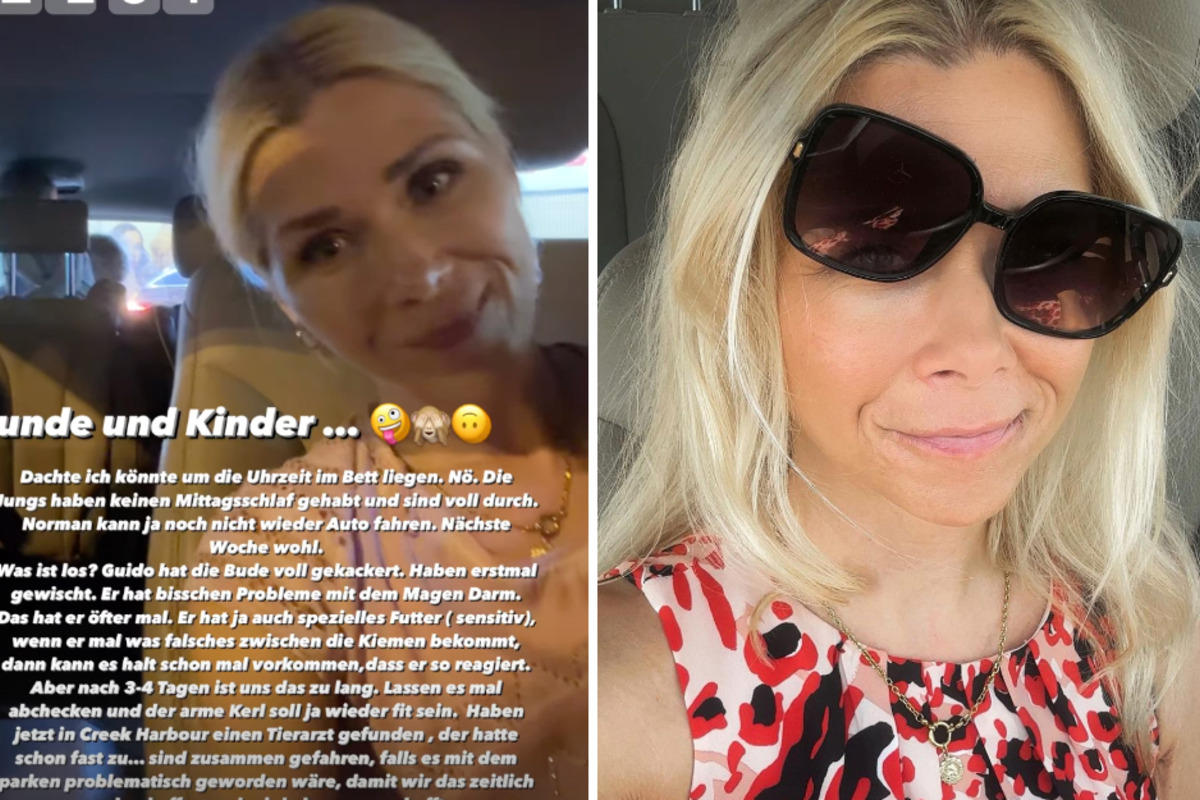 Tanja-Szewczenko-in-Sorge-um-Familienhund-Guido-quot-Der-hat-die-Bude-voll-gekackert-quot-