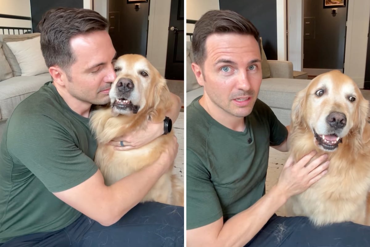 Golden-Retriever-wird-zehn-Jahre-alt-Was-Herrchen-deshalb-erz-hlt-geht-so-vielen-unter-die-Haut