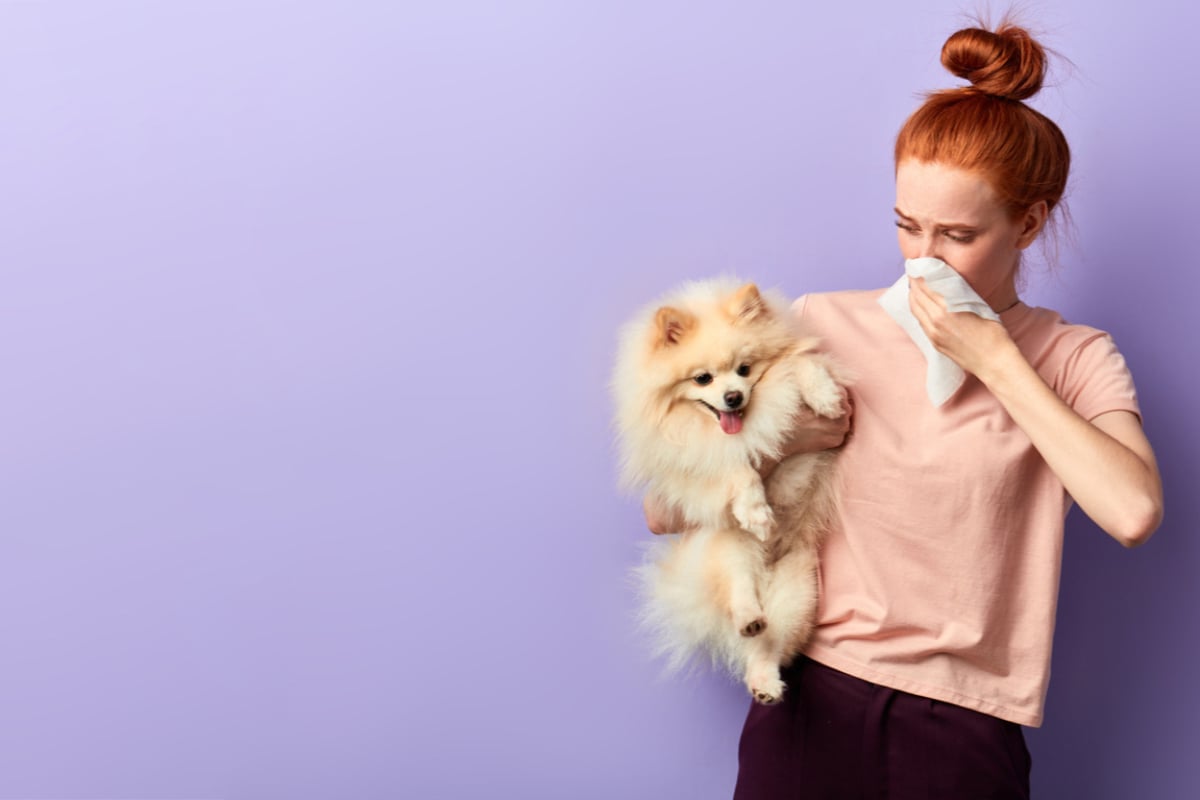 dog-allergies-symptoms-treatments-and-the-best-dogs-for-people-with-allergies