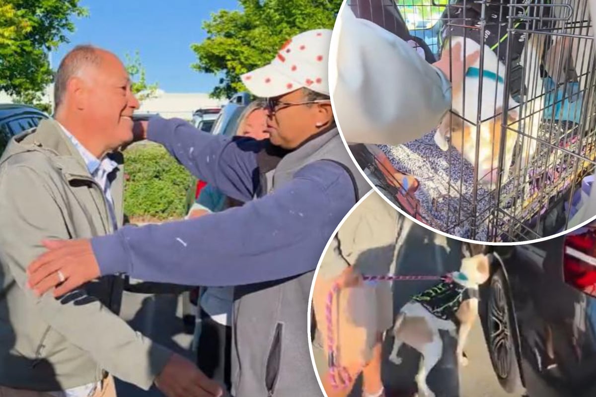 Hund wird jahrelang nicht adoptiert: Als es endlich so weit ist, bleibt kein Auge trocken