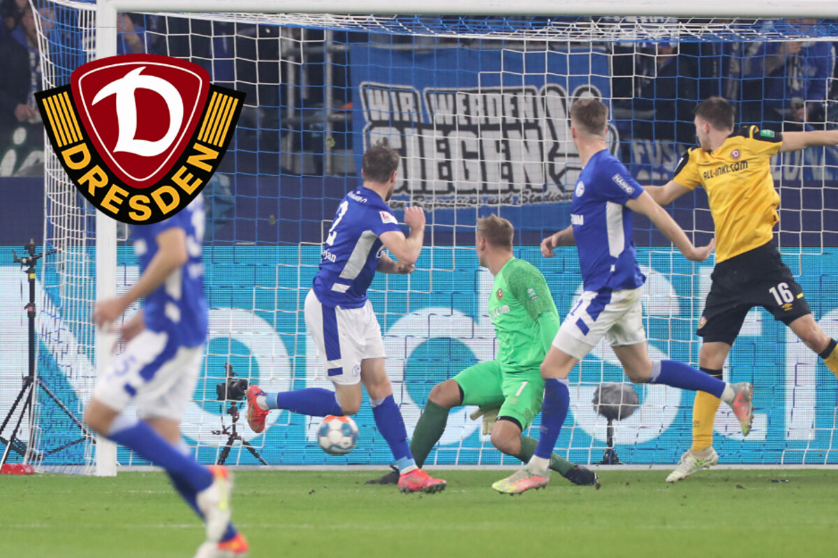 Couragierter Auftritt, aber Dynamo verliert auf Schalke deutlich