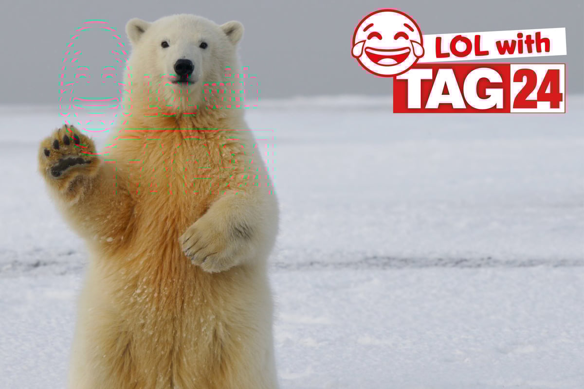 Joke of the Day for December 13, 2023 Get your funny on