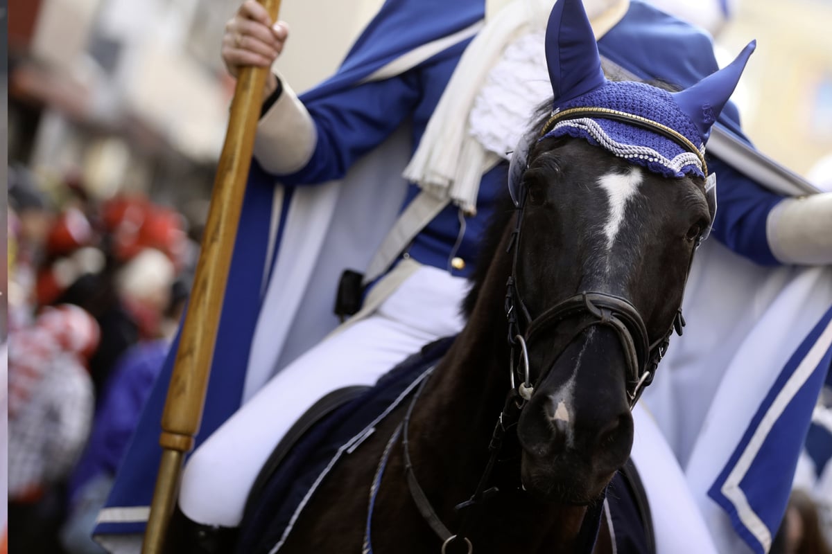 Appell-an-Henriette-Reker-Tiersch-tzer-fordern-Pferdeverbot-im-K-lner-Karneval