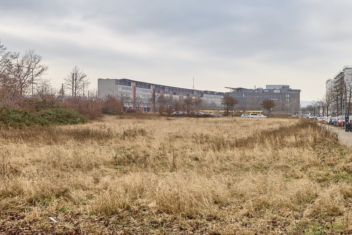 Wohnraum-immer-knapper-Z-ndet-Dresden-jetzt-den-Bau-Turbo-