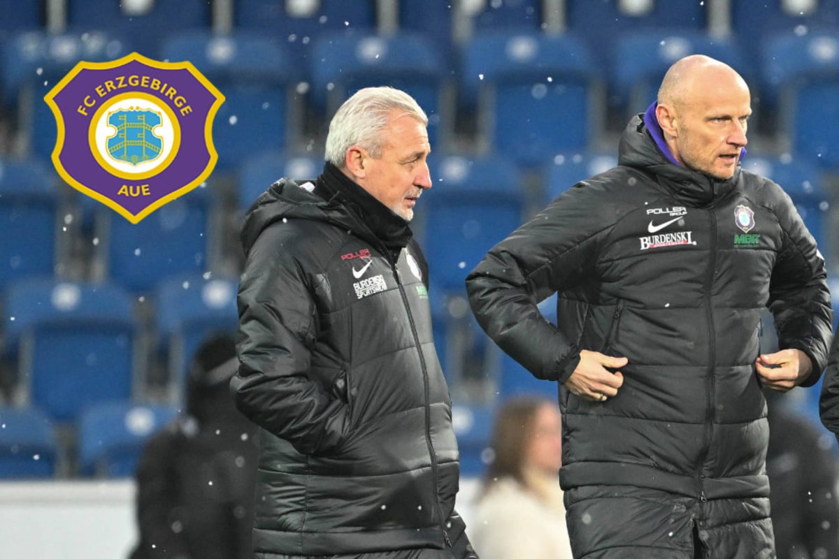 Erzgebirge Aue mit 28 Punkten in sicheren Gefilden