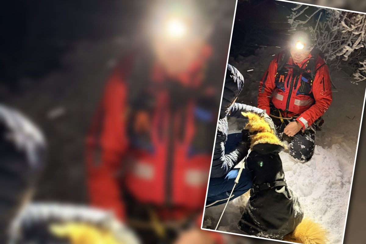 Drei Stunden Einsatz: Hund nach Absturz im Schnee gerettet