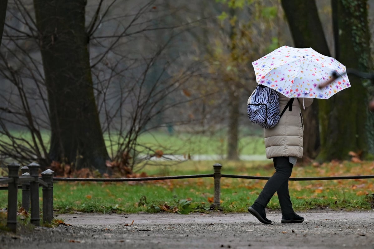 Regenschirm-bereithalten-K-lns-Wetter-ab-Montag-im-berblick