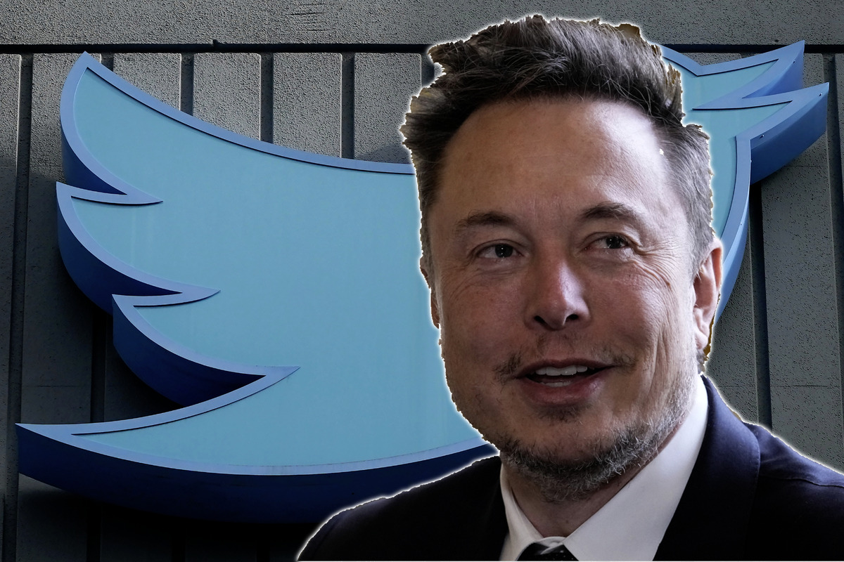 Umstyling bei Twitter: Schießt Elon Musk den Vogel ab?
