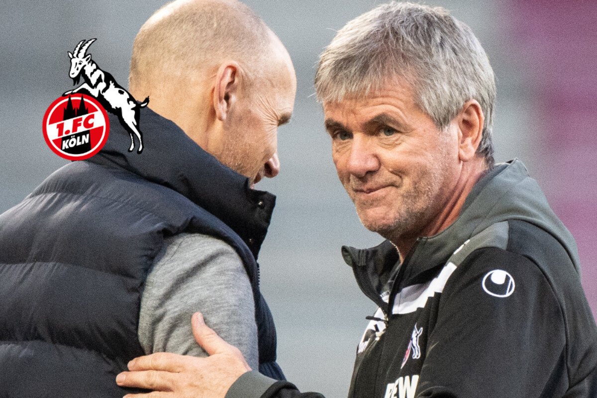 Köln-Coach Funkel über hohe Trainer-Ablösen: 