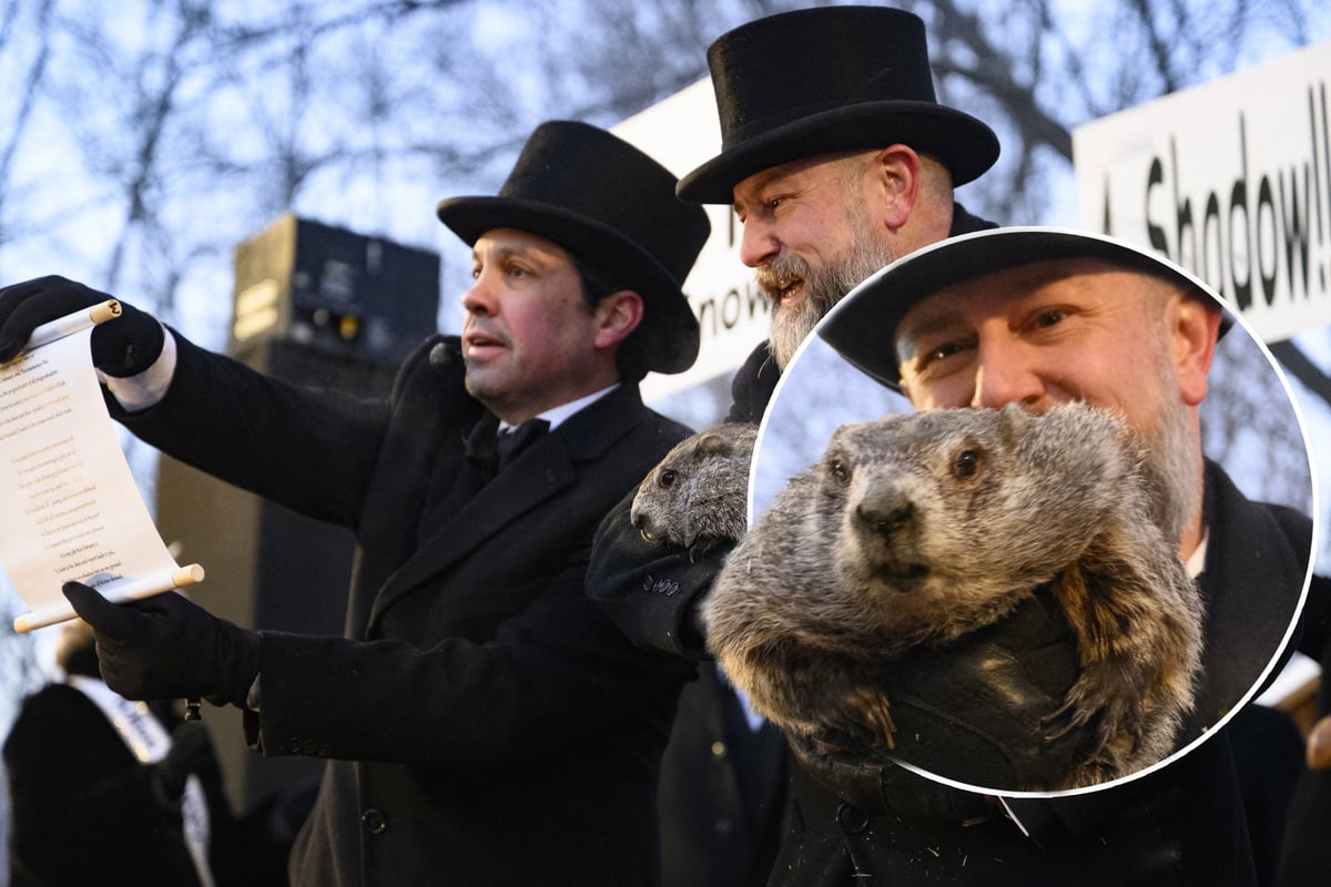 J-hrlich-gr-t-das-Murmeltier-Irrwitzige-US-Tradition-zur-Wettervorhersage