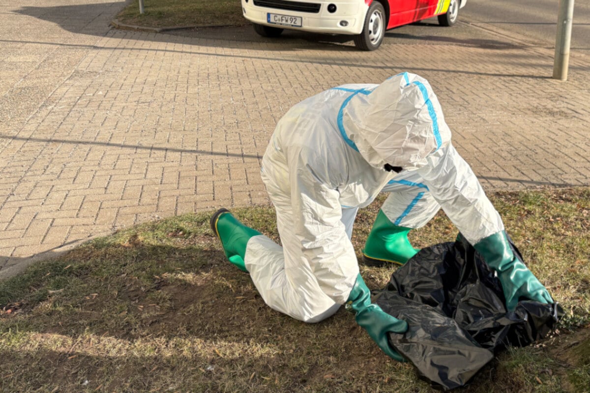 Toter-Kormoran-gefunden-Ist-Chemnitz-f-r-einen-m-glichen-Vogelgrippe-Ausbruch-gewappnet-