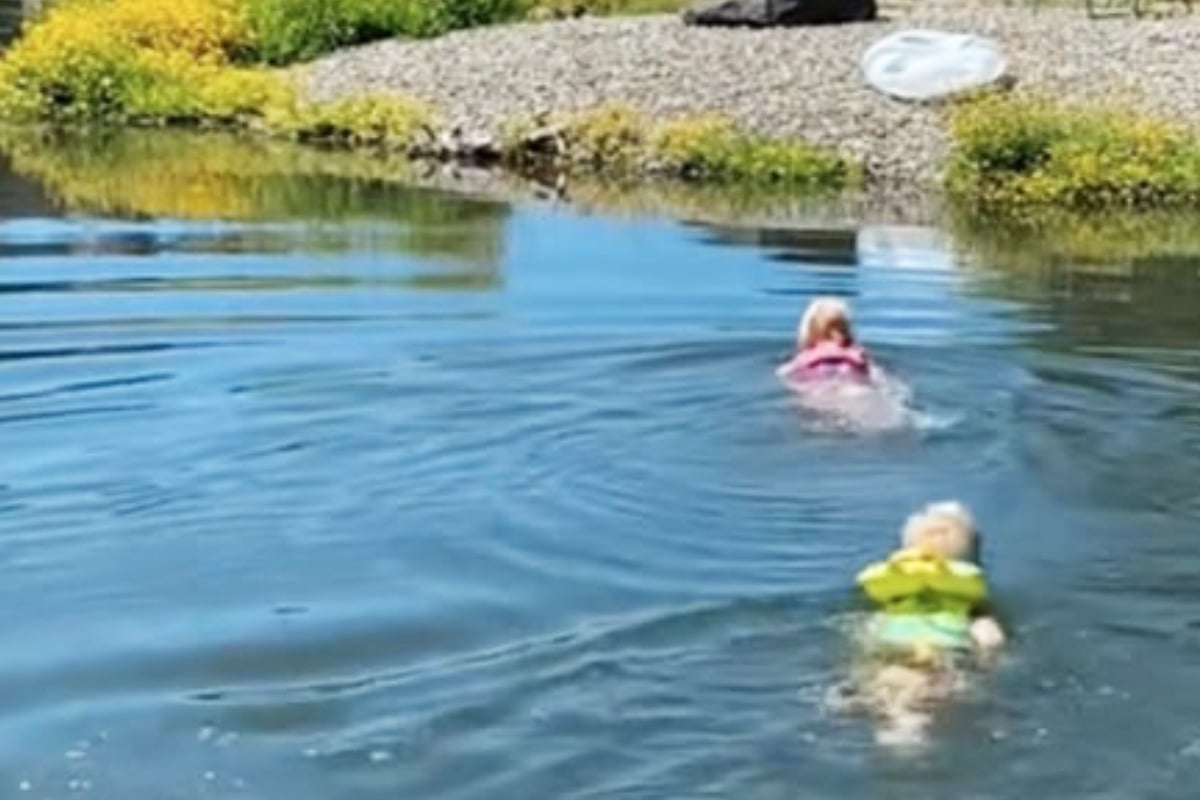 Eltern lassen kleine Kinder im Teich baden, doch dann taucht plötzlich