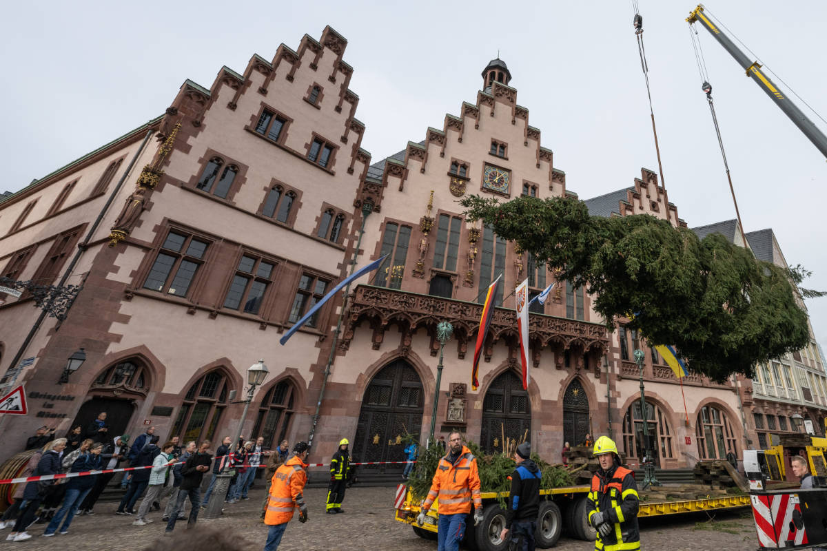 Weihnachtsbaum erreicht Römerberg: Eintracht-Mitglieder durften seinen Namen aussuchen