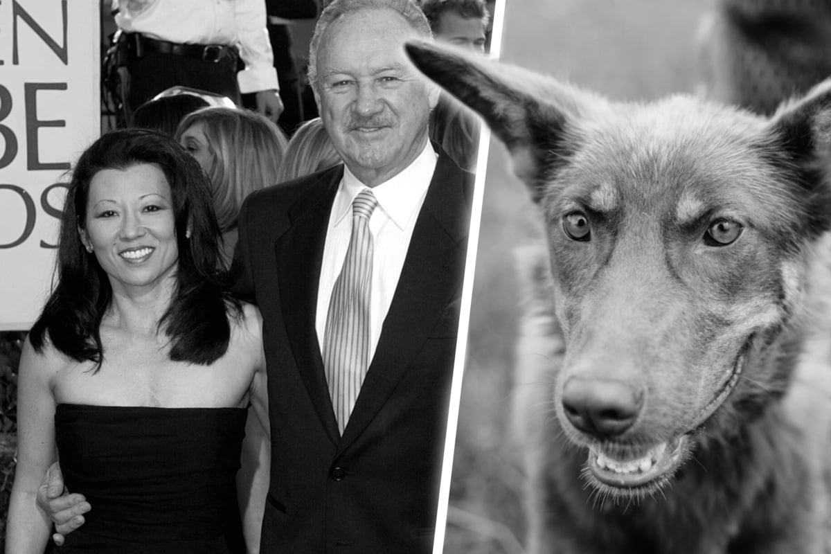 Gene Hackman und Betsy Arakawa: Todesursache ihres Hundes enthüllt