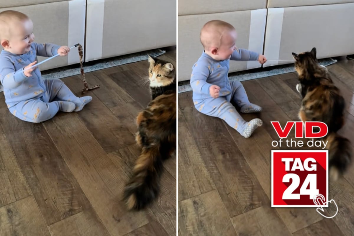 Viral Video of the Day for April 23, 2026: Baby's giggle fit with cat has the internet obsessed!