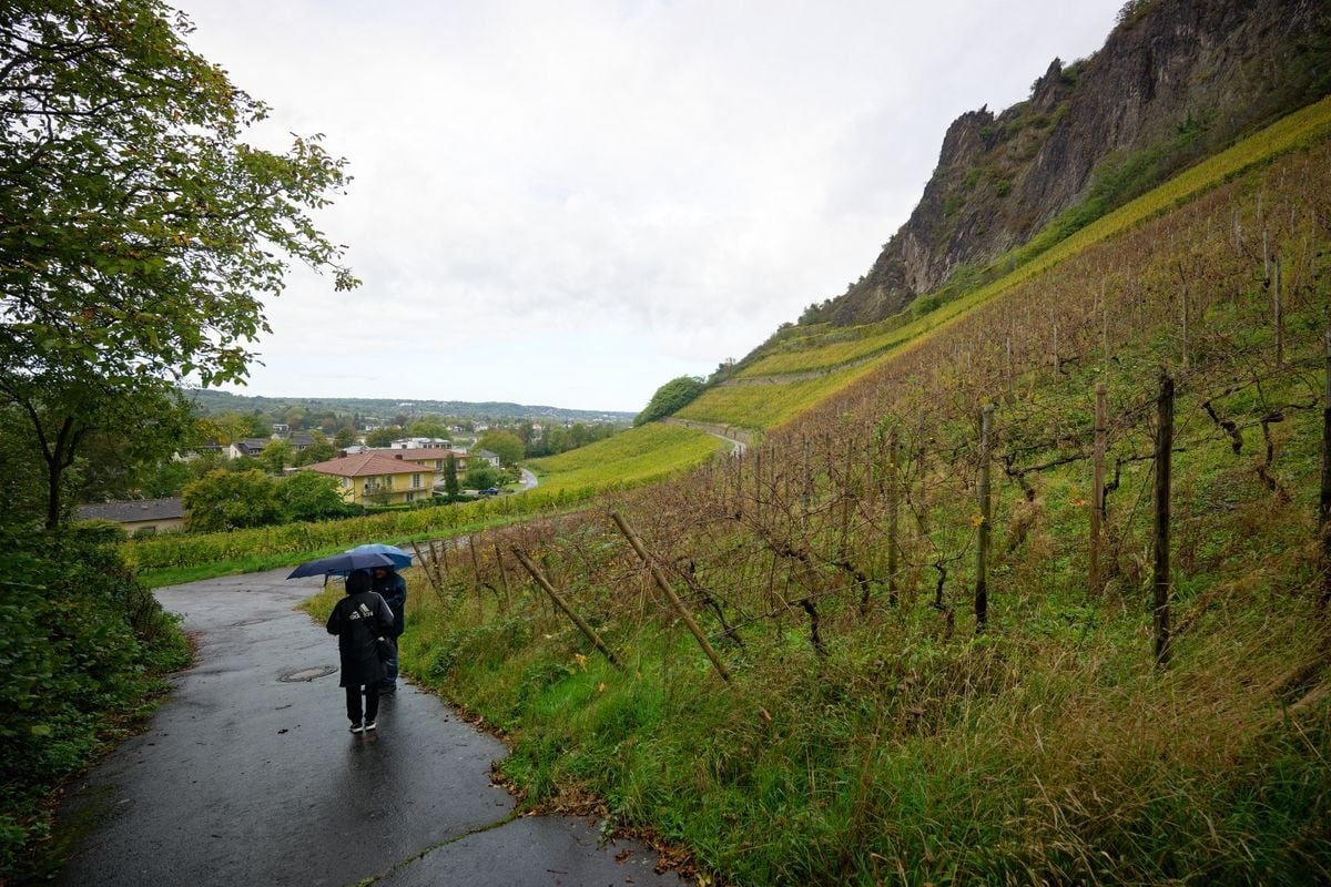 Ungemütliches Wochenende in NRW: Herbstliches Wetter bestimmt die nächsten Tage