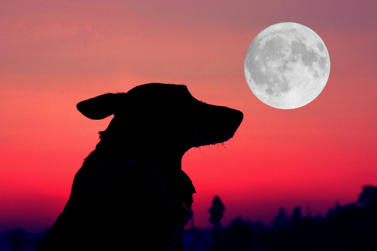 Today&rsquo;s horoscope: Free horoscope for Saturday, June 12, 2021