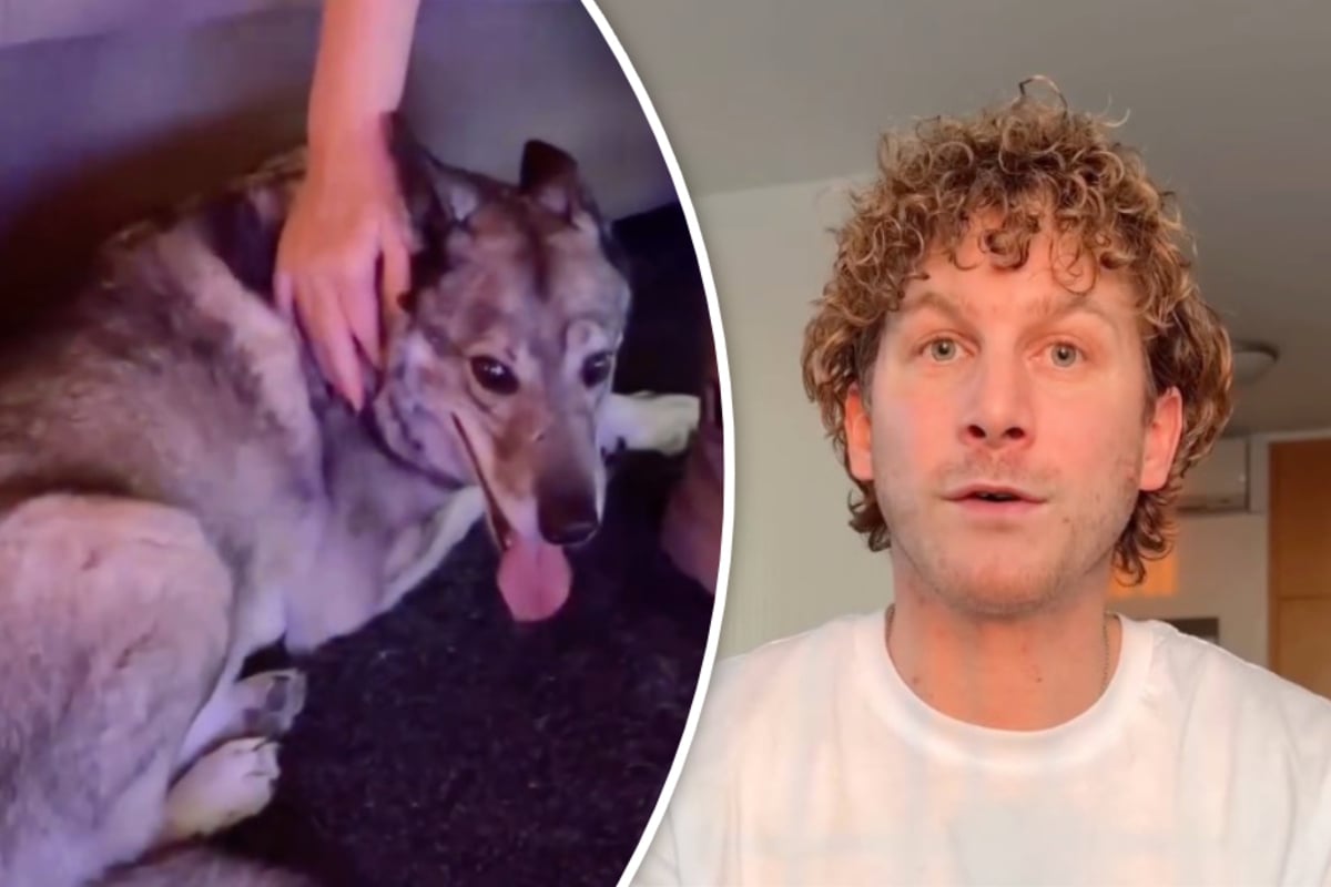 Schonungsloser-Reminder-von-Malte-Zierden-Kein-Mensch-zwingt-uns-dazu-