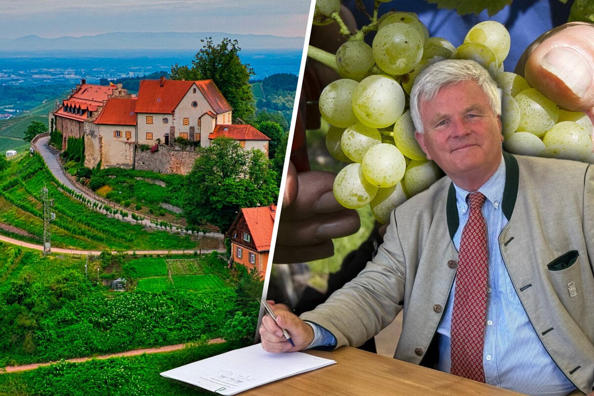 Prunkvolles-Wessi-Schloss-gekauft-Weinprinz-zur-Lippe-will-Wackerbarth-Erfolg-wiederholen