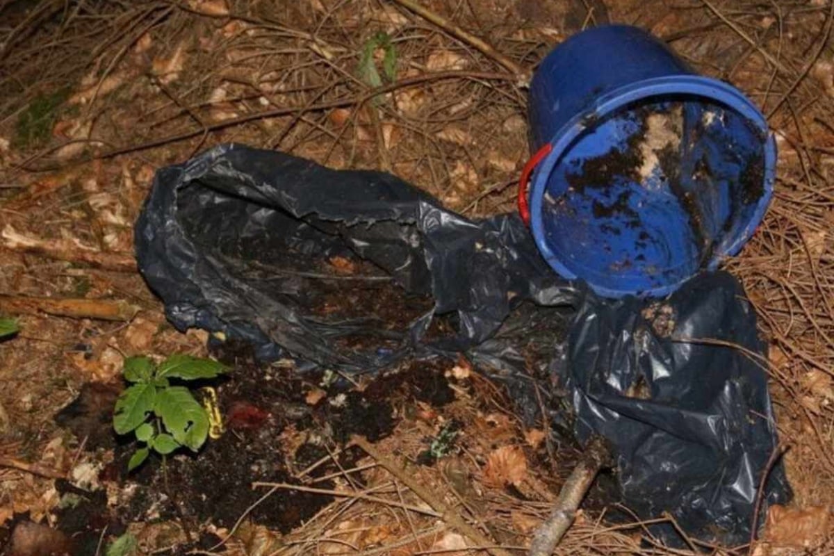 V saském lese nalezená mrtvola: policie dostává důležité informace od „Aktenzeichen XY“.