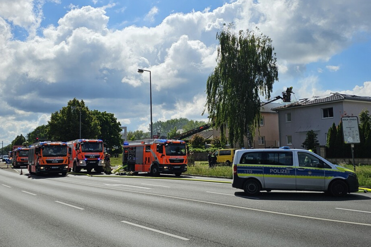 Eduarda demetrio belladasemana