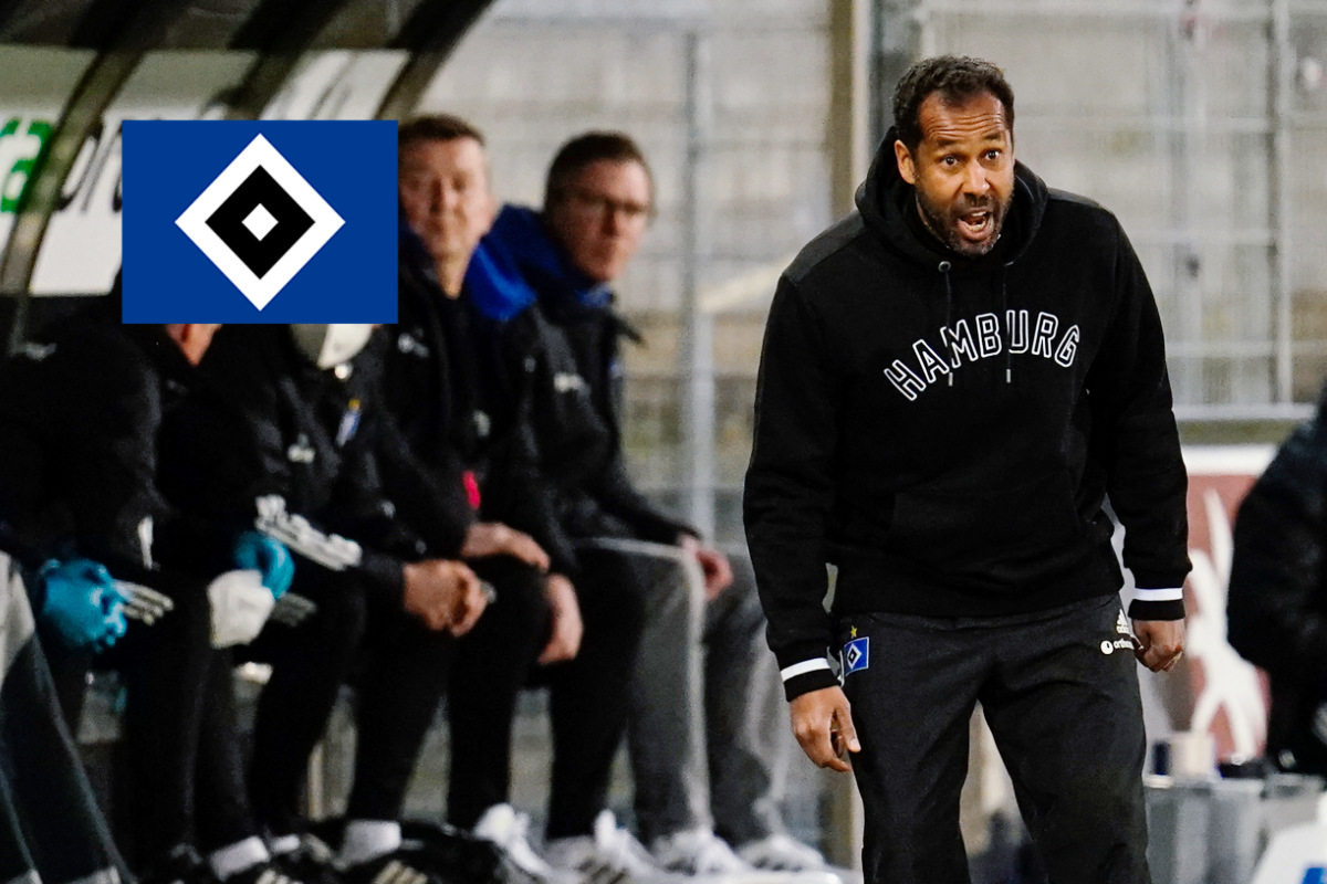 Ex-HSV-Coach Daniel Thioune verteidigt sich: 