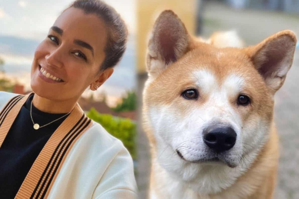 Bei eBay verkauft: Jana Zarrella sucht neues Zuhause für Hund "Hachiko" | TAG24