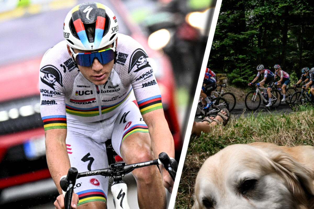 Un cane spaventa i candidati al Giro d’Italia!