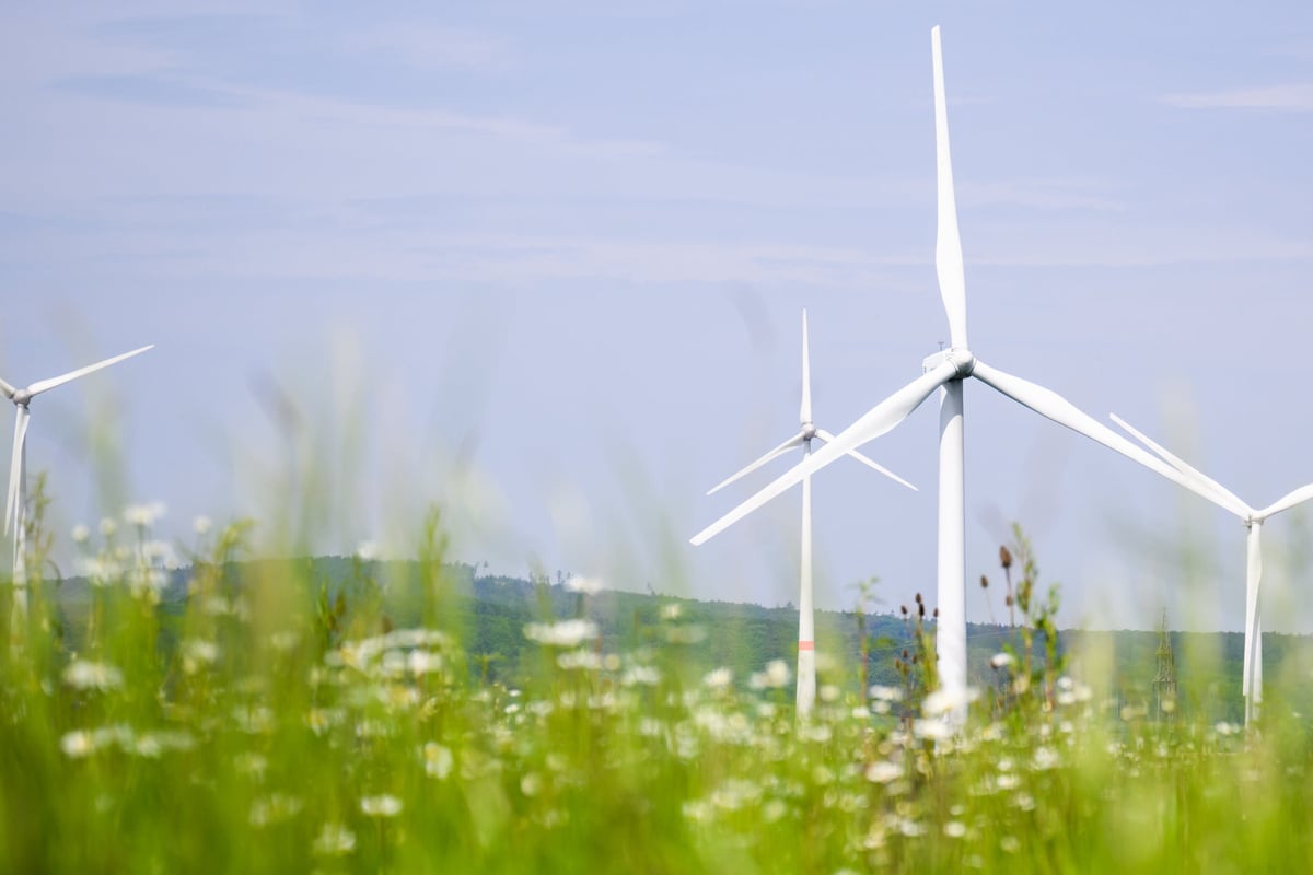 Trotz Rückbau: Windräder in Sachsen-Anhalt erbringen mehr Leistung